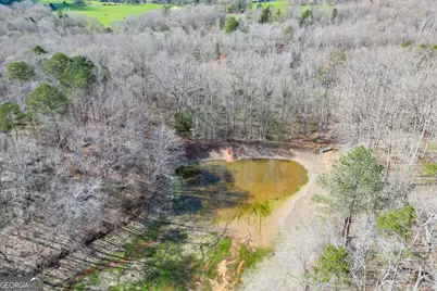 722 Charlie Morris Road, Colbert, GA 30628 - Photo 71