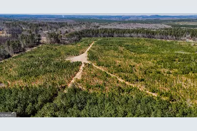 Tract 3 John Kay Road, Taylorsville, GA 30178 - Photo 7