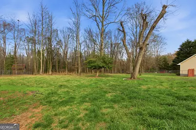 241 Tommy Irvin Road, Mount Airy, GA 30563 - Photo 31