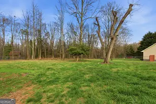 241 Tommy Irvin Rd, Mount Airy, GA 30563 - Photo 31