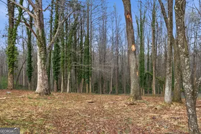 241 Tommy Irvin Road, Mount Airy, GA 30563 - Photo 35