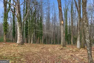 241 Tommy Irvin Rd, Mount Airy, GA 30563 - Photo 35