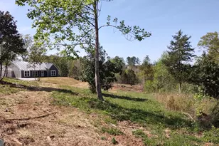 298 Connecticut Ave, Tallapoosa, GA 30176 - Photo 19