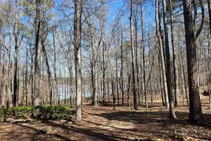 209 River Oaks Dr, Lagrange, GA 30240 - Photo 75