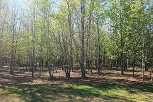 1148 Burgundy Dr, Griffin, GA 30223 - Photo 15