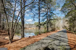 223 Rising Star Rd, Fayetteville, GA 30215 - Photo 143