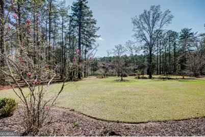 223 Rising Star Road, Fayetteville, GA 30215 - Photo 161