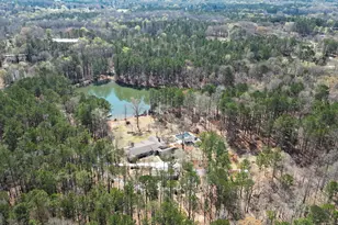 223 Rising Star Rd, Fayetteville, GA 30215 - Photo 139