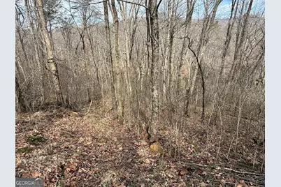 #15A Mossy Oaks Lane, Hiawassee, GA 30546 - Photo 9