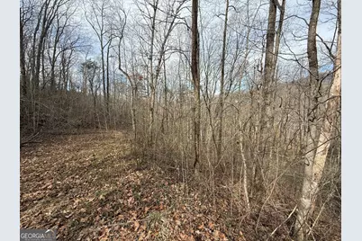 #15A Mossy Oaks Lane, Hiawassee, GA 30546 - Photo 3