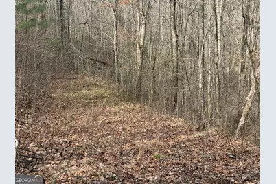 #15A Mossy Oaks Lane, Hiawassee, GA 30546 - Photo 11