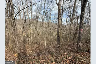 #15A Mossy Oaks Lane, Hiawassee, GA 30546 - Photo 7