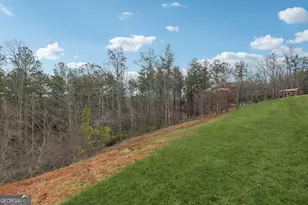 30 Station Gap, Dahlonega, GA 30533 - Photo 59