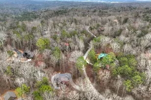 723 Parody Circle, Ellijay, GA 30540 - Photo 39