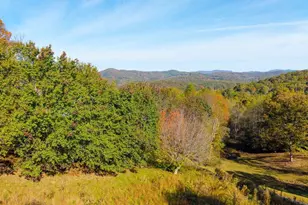 295 White Oak Dr, Warne, NC 28909 - Photo 73