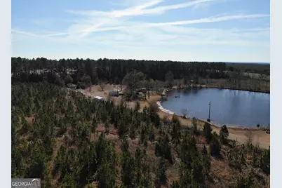 271 Marchants Dairy Road, Rhine, GA 31077 - Photo 1