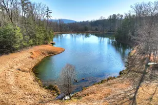 17 Dial Mountain Dr, Blue Ridge, GA 30513 - Photo 39