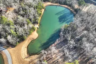 17 Dial Mountain Dr, Blue Ridge, GA 30513 - Photo 29