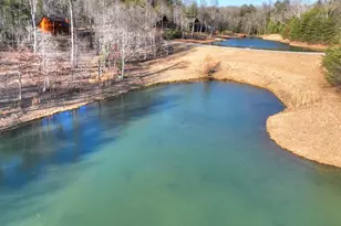 17 Dial Mountain Dr, Blue Ridge, GA 30513 - Photo 49