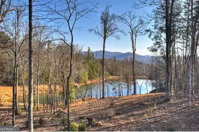 17 Dial Mountain Drive #1,2, Blue Ridge, GA 30513 - Photo 27