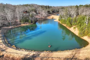 17 Dial Mountain Dr, Blue Ridge, GA 30513 - Photo 25