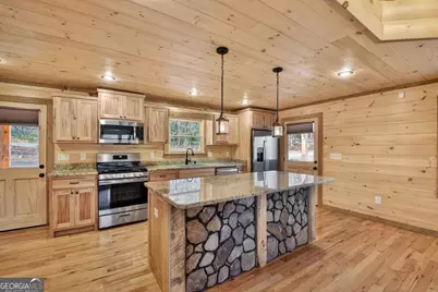 17 Dial Mountain Drive #1,2, Blue Ridge, GA 30513 - Photo 59