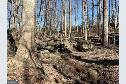 0 Unawatti Road, Canon, GA 30520 - Photo 11