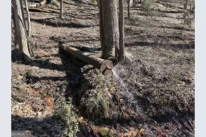 0 Unawatti Road, Canon, GA 30520 - Photo 13