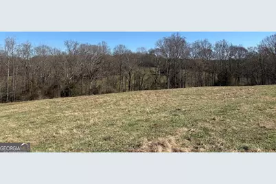 0 Unawatti Road, Canon, GA 30520 - Photo 5