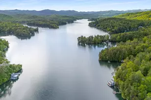 1006 Perrin Cove Rd, Tiger, GA 30576 - Photo 89