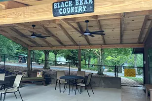 94 Bridge Loop Dr, Cleveland, GA 30528 - Photo 43