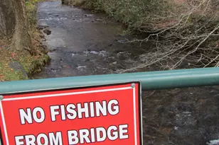 94 Bridge Loop Dr, Cleveland, GA 30528 - Photo 67