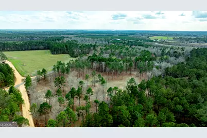 0 Cowart Pond Road, Metter, GA 30439 - Photo 7