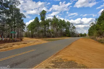 0 Cowart Pond Road, Metter, GA 30439 - Photo 17