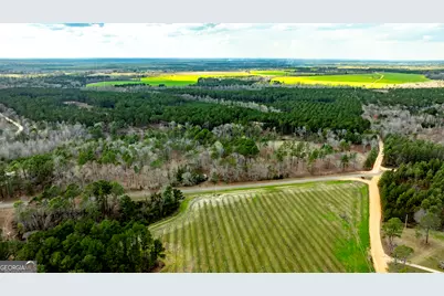 0 Cowart Pond Road, Metter, GA 30439 - Photo 3