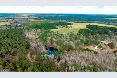 13463 Cowart Pond Road, Metter, GA 30439 - Photo 21