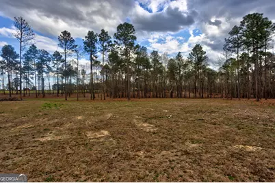 0 Cowart Pond Road, Metter, GA 30439 - Photo 13