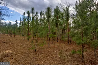 0 Cowart Pond Road, Metter, GA 30439 - Photo 19