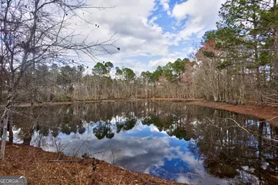 0 Cowart Pond Road, Metter, GA 30439 - Photo 9