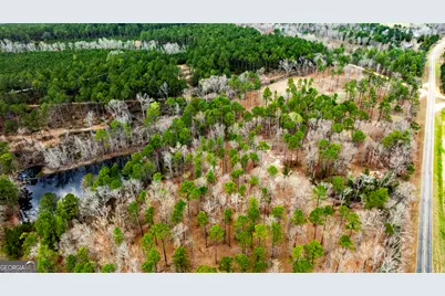 0 Cowart Pond Road, Metter, GA 30439 - Photo 1