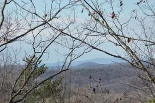 100 Hidden Holw Ln, Dahlonega, GA 30533 - Photo 3