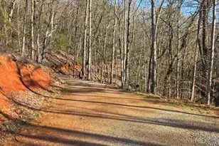 100 Hidden Holw Ln, Dahlonega, GA 30533 - Photo 35