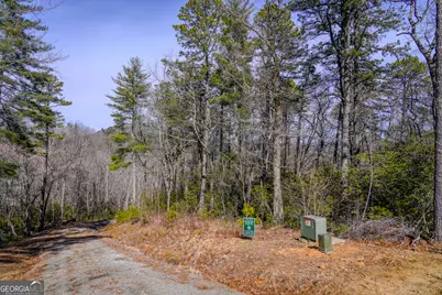0 Ivy Ridge Way #LOT 39, Clarkesville, GA 30523 - Photo 1