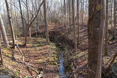 2456 Eddleman Drive NW, Dewy Rose, GA 30634 - Photo 11