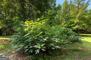 6536 Luthersville Rd, Gay, GA 30218 - Photo 85