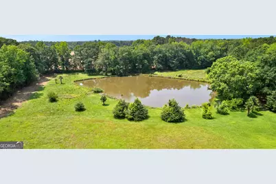 6536 Luthersville Road, Gay, GA 30218 - Photo 89