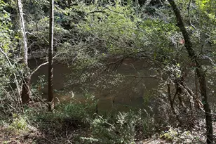 132 Pineworth Pointe Dr, Macon, GA 31216 - Photo 25