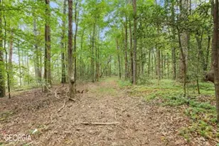 Lot 6 Parker Point, Cornelia, GA 30531 - Photo 1