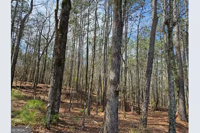 600 Mountain Brook Road, Fortson, GA 31808 - Photo 1