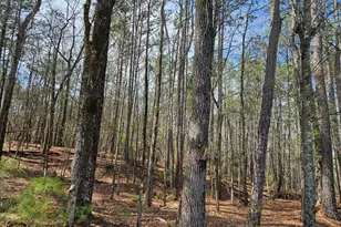 600 Mountain Brook Rd, Fortson, GA 31808 - Photo 1